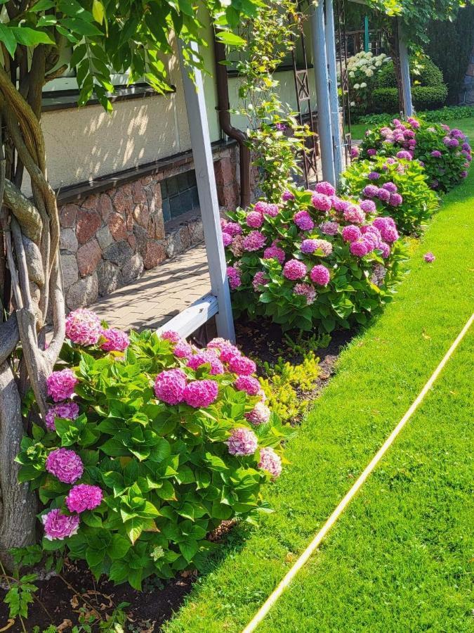 Vila Florena Garden Palanga Exterior foto